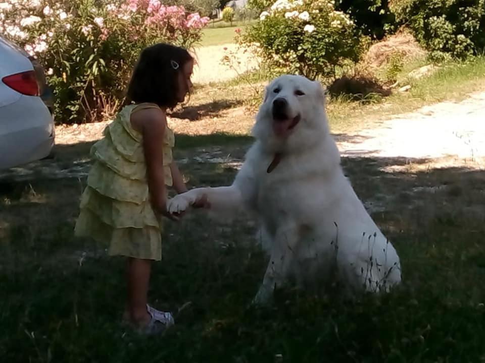 Agriturismo Campo Aperto Belvedere Ostrense Εξωτερικό φωτογραφία