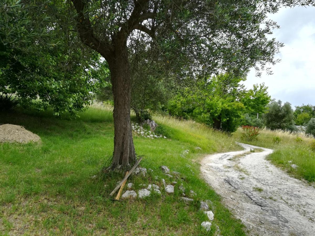 Agriturismo Campo Aperto Belvedere Ostrense Εξωτερικό φωτογραφία
