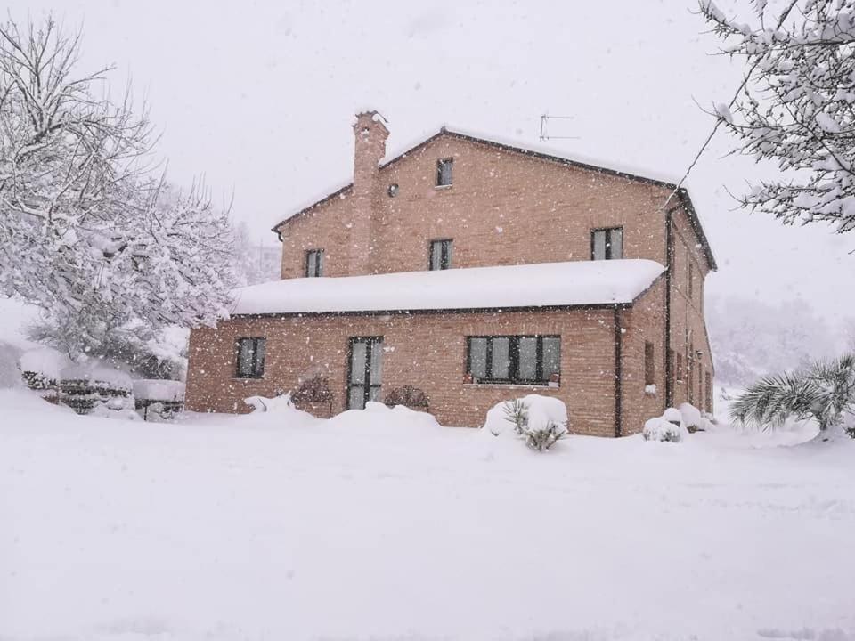 Agriturismo Campo Aperto Belvedere Ostrense Εξωτερικό φωτογραφία