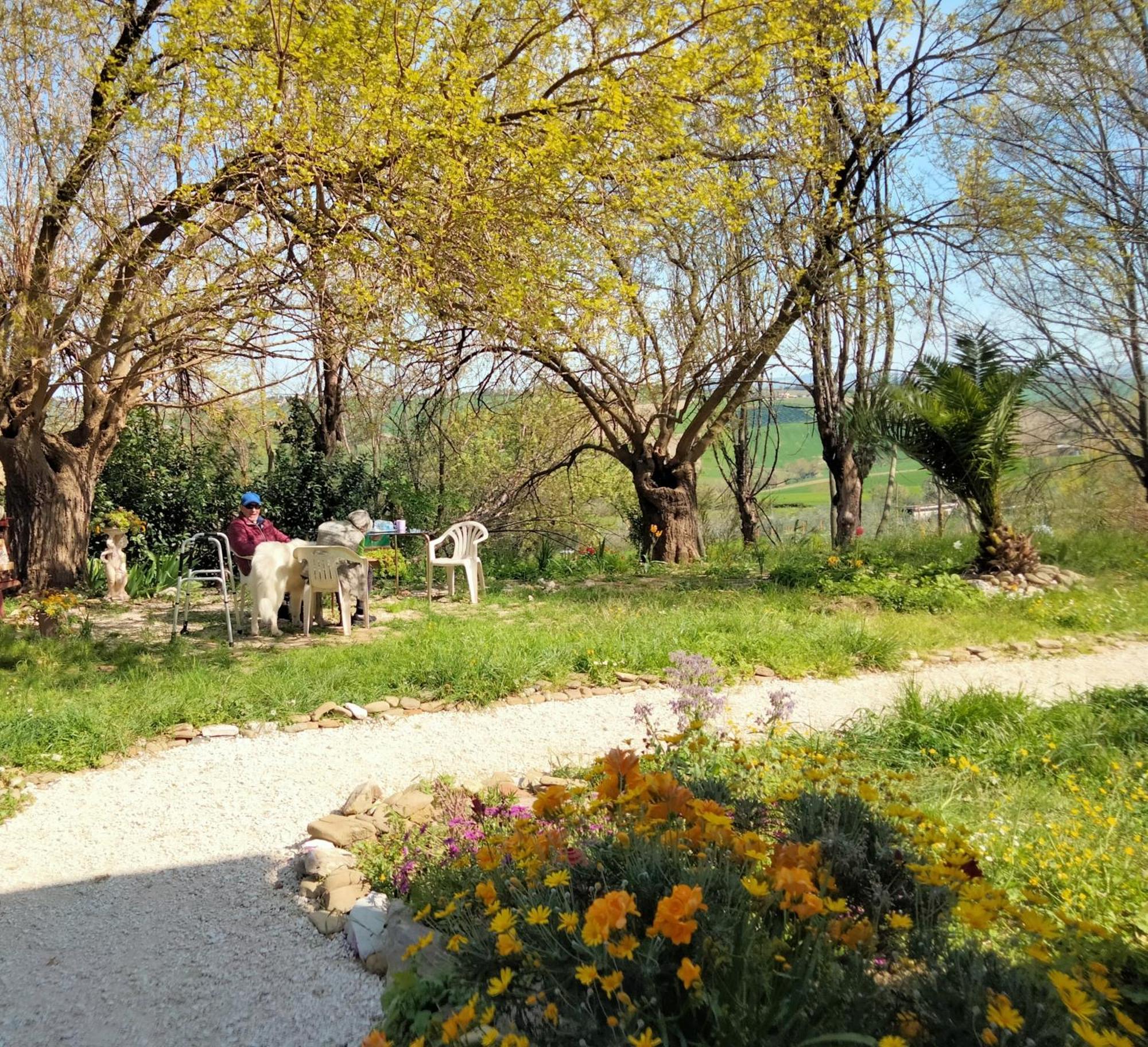 Agriturismo Campo Aperto Belvedere Ostrense Εξωτερικό φωτογραφία